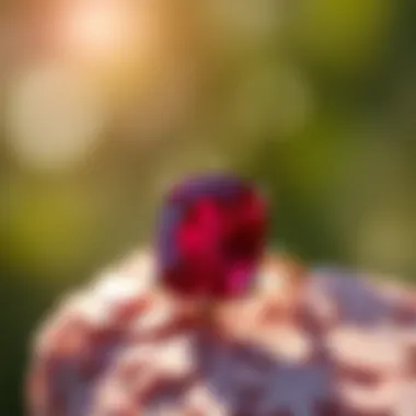 Magnificent Birthstone for July 31st: A Deep Dive into Ruby and Its Significance