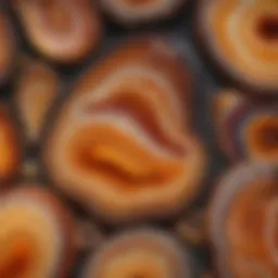 Exquisite agate patterns in natural light