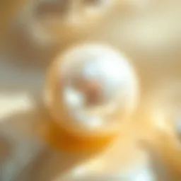 Close-up of lustrous natural pearl