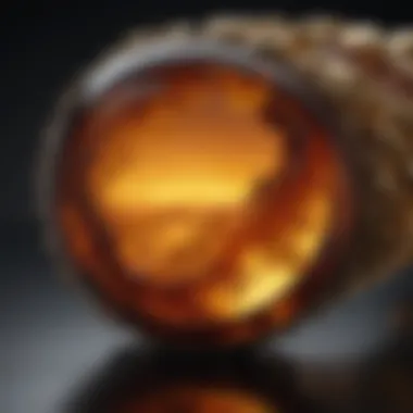 Baltic Amber Stone Cultural Symbolism