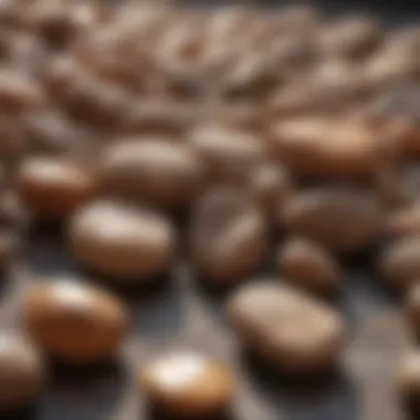 An array of raw brown stones in different shapes and sizes displayed on a natural surface