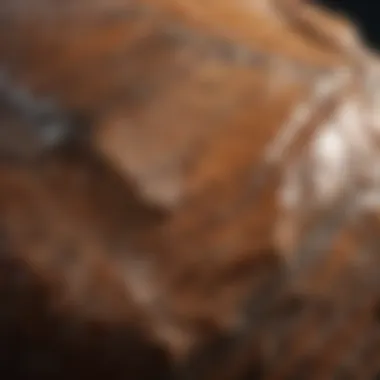 Close-up view of a polished brown stone showcasing its unique texture and color variations