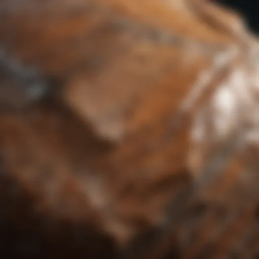 Close-up view of a polished brown stone showcasing its unique texture and color variations