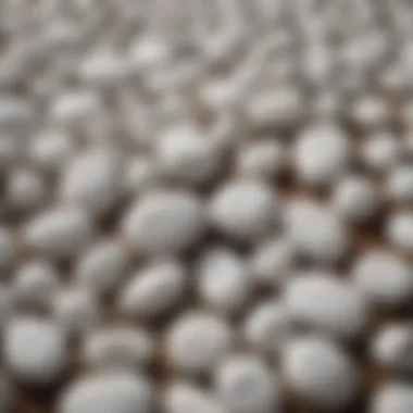 White Stones in Holistic Practices White stones arranged artistically in a holistic practice setting.