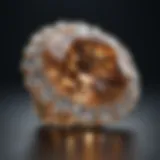 Brilliant cut diamond set in elegant jewelry