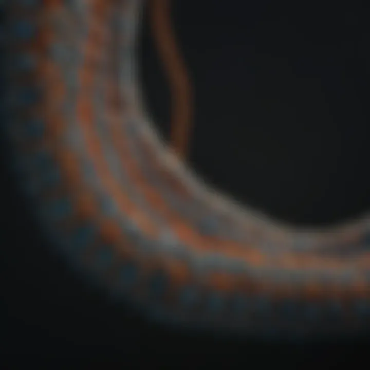 Close-up of intricate bead cord weaving