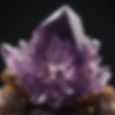 Radiant Amethyst Crystal Cluster