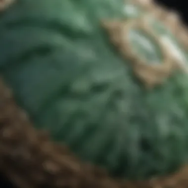 Close-up view of genuine jade with unique patterns