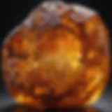 A stunning large piece of amber showcasing intricate inclusions