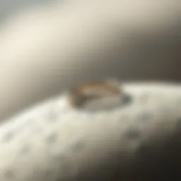 A close-up view of a sleek, minimalist purity ring resting on a textured surface.