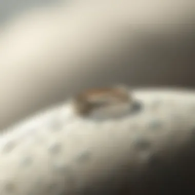 Minimalist Design of Purity Rings A close-up view of a sleek, minimalist purity ring resting on a textured surface.