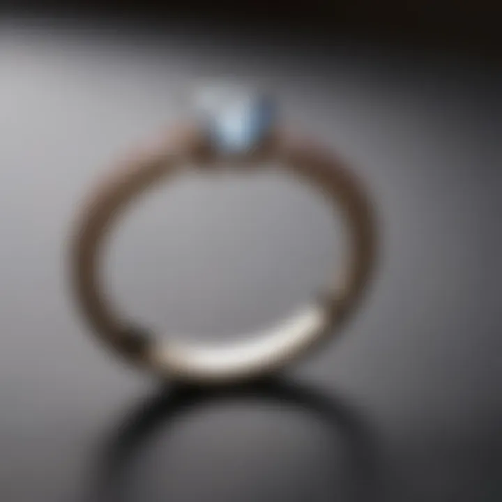 A beautifully crafted band showcasing its sleek design under natural light