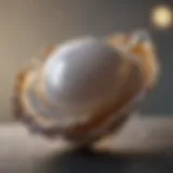 Close-up view of a natural oyster pearl