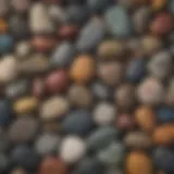 A collection of various beach stones showcasing unique colors and textures