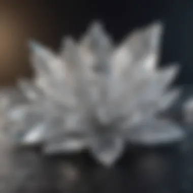 Pure Elegance of Frosty Crystal