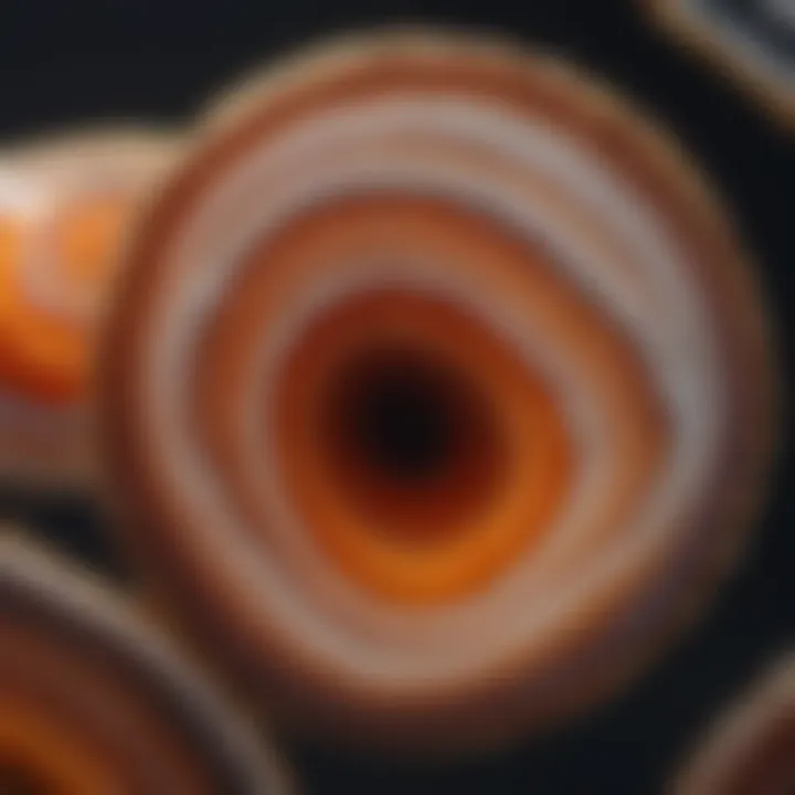 Beautiful swirls and patterns of banded agate