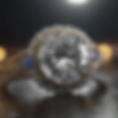 Exquisite Diamond Ring Showcase Exquisite Diamond Ring on Display