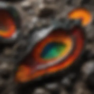 Geological Origins of Ammolite Geological formation of ammolite in Alberta