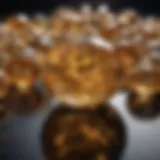 Gleaming Reflections of Gold Ounce