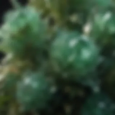 Close-up of Green Crystal Formations