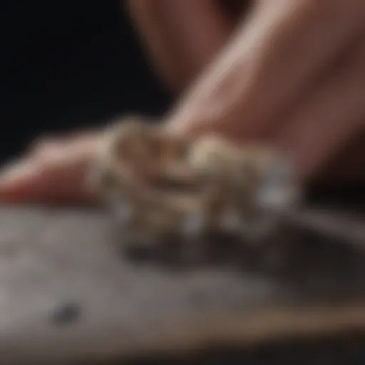 Symbolic Bond