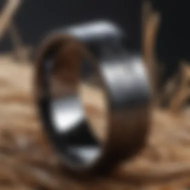 Intricate Reeds Black Titanium Band