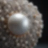 Exquisite Natural Pearl Texture