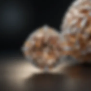 Leo Ideal Cut Diamonds in Luxurious Jewelry Designs Elegant Leo Ideal Cut Diamond jewelry displayed in a luxurious setting
