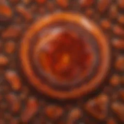 Captivating Patterns of Mexican Fire Agate