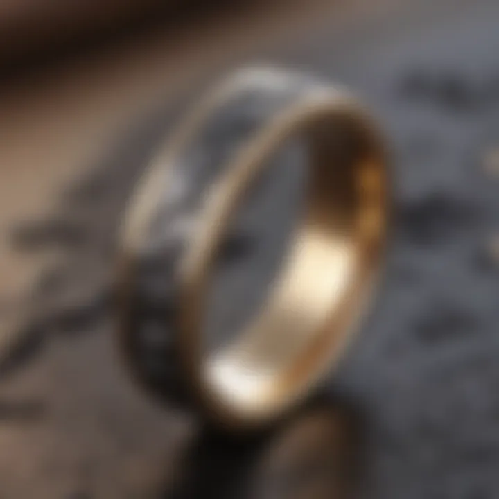 Meteorite Wedding Band in Natural Light