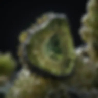Intricate Details of Genuine Moldavite under Microscope Moldavite Under Microscope