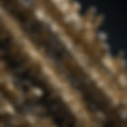 Pyrite Crystal Structure