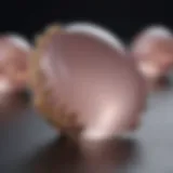 Exquisite Rose Quartz Cabochon