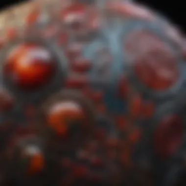 Intricate Patterns and Colors of Rough Bloodstone Intricate patterns and colors of rough bloodstone