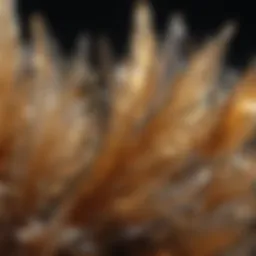 Golden needle-like rutiles in rutilated quartz