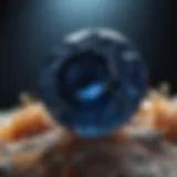 Exquisite sapphire under microscope