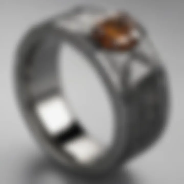 Sleek Titanium and Meteorite Ring