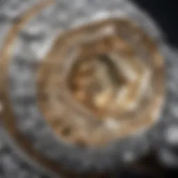 Stunning close-up of a baguette diamond showcasing its intricate facets and clarity