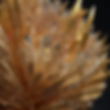 Decorative Items Highlighting the Beauty of Gold-Lined Crystals Decorative items highlighting the beauty of gold-lined crystals