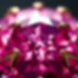 Close-up view of a pink sapphire showcasing its vibrant color and brilliance