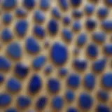 A stunning display of lapis lazuli stones showcasing their deep blue color and golden flecks.