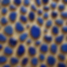 A stunning display of lapis lazuli stones showcasing their deep blue color and golden flecks.