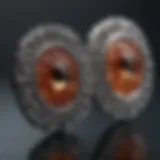 Detailed illustration of friction earring back design