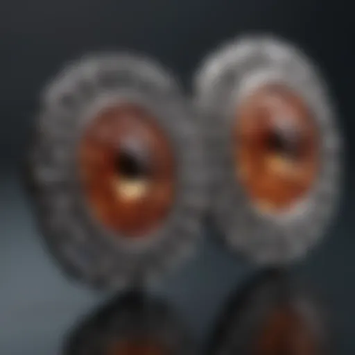 Detailed illustration of friction earring back design