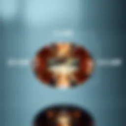 Visual representation of an oval gemstone showcasing its length and width.