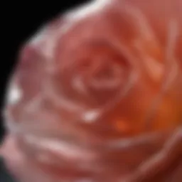 Close-up view of a rose cut diamond showcasing its unique facets