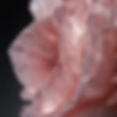 An artistic interpretation of rose quartz illustrating its connection to emotional healing and love