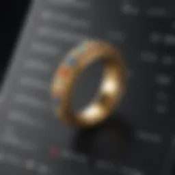 An illustrative representation of a ring calculator interface