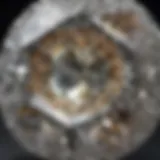 Close-up view of an old European cut diamond showcasing its unique facets