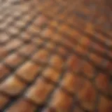 Close-up view of a turtle shell roofing system showcasing its unique curvature and texture.